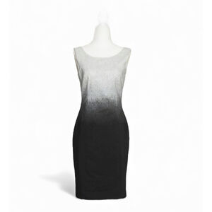 Banana Republic Ombré Dip-Dye Sleeveless Dress Size 2 Lined Gray White Gradient￼